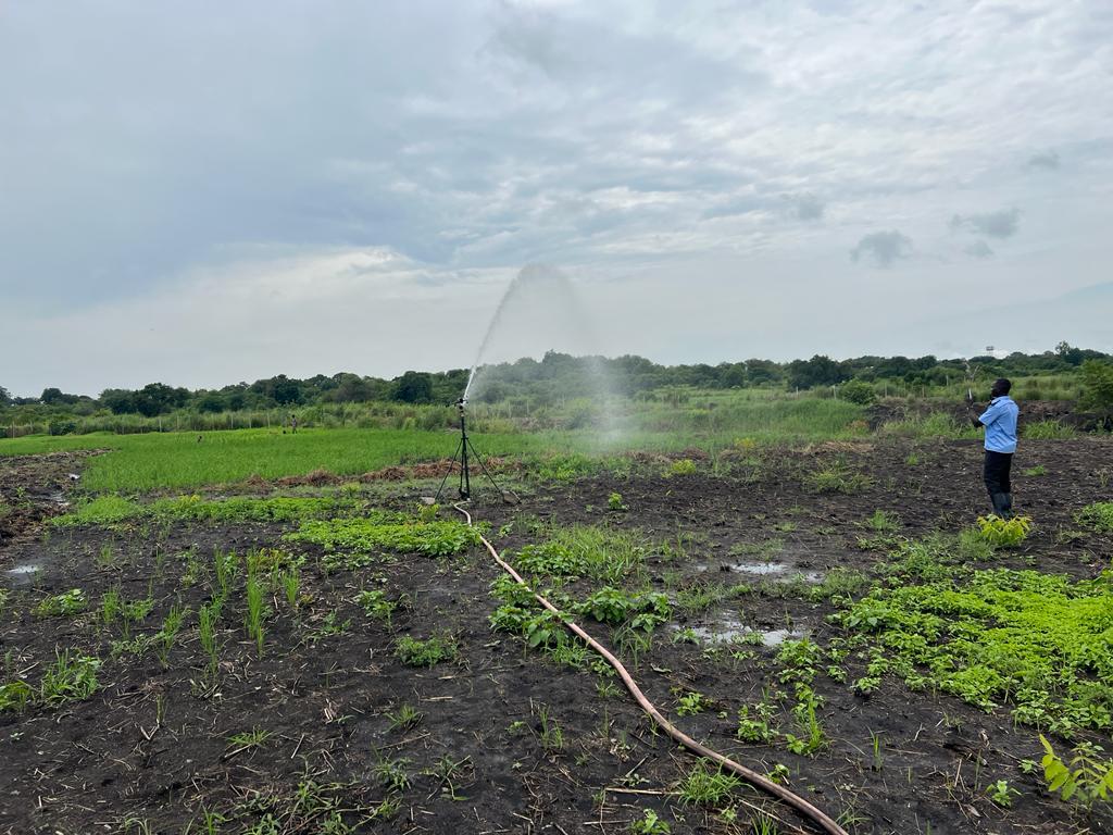 Irrigation Project