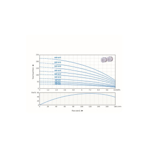 SSP 8 Graph